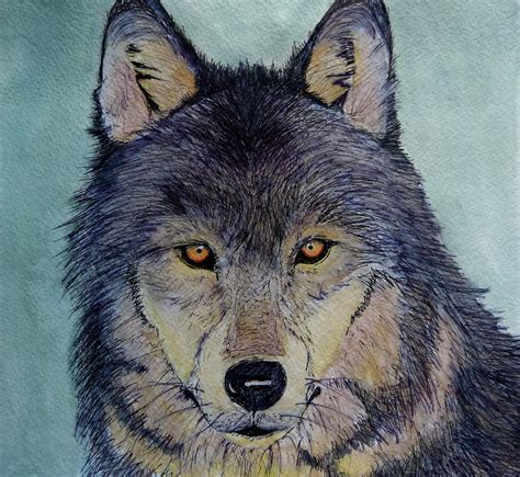 The Lone Wolf Painting by Anthony Nold - Fine Art America