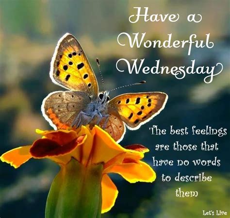 Wonderful Wednesday wednesday wednesday quotes wednesday images ...