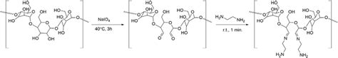 Scheme 1. Synthesis of aminated starch. | Download Scientific Diagram