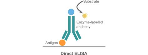 Direct Elisa