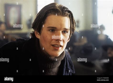 White fang ethan hawke hi-res stock photography and images - Alamy