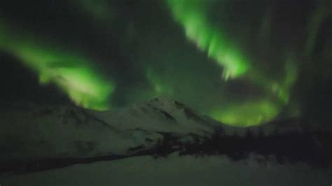 Northern Lights Alaska May 2024 - Marna Sharity