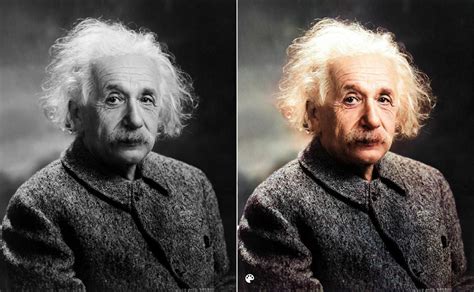 30 Random Memes To Distract You From Reality Einstein - vrogue.co
