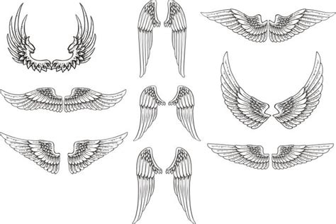 Free Vector Wings Pack by artamp on DeviantArt