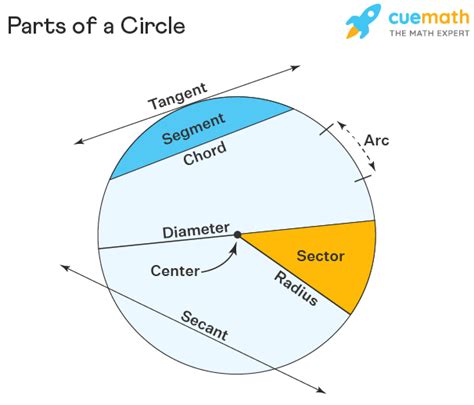 Parts of a Circle - Definition, Formulas, Examples