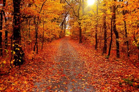 18 Best Places To See Fall Colors in Illinois (2024 guide)