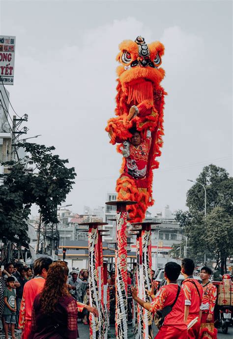 The History of Chinese Traditional Lion Dance - ExpatGo