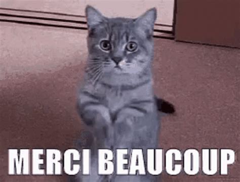 Merci Cat GIF - Merci Cat Peace - Discover & Share GIFs