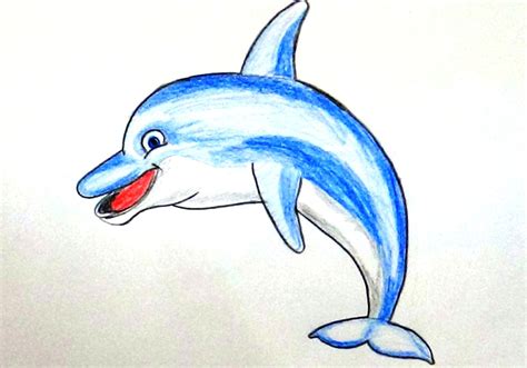 Cartoon Dolphin Drawing at GetDrawings | Free download