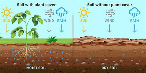 Soil Conservation Methods For Maintaining Farmlands' Fertility