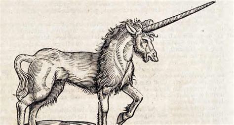 Unicorns – a brief history - Temple Illuminatus