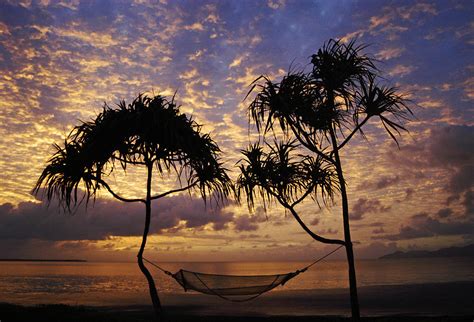 Hammock sunrise Photograph by Karl Manteuffel - Fine Art America