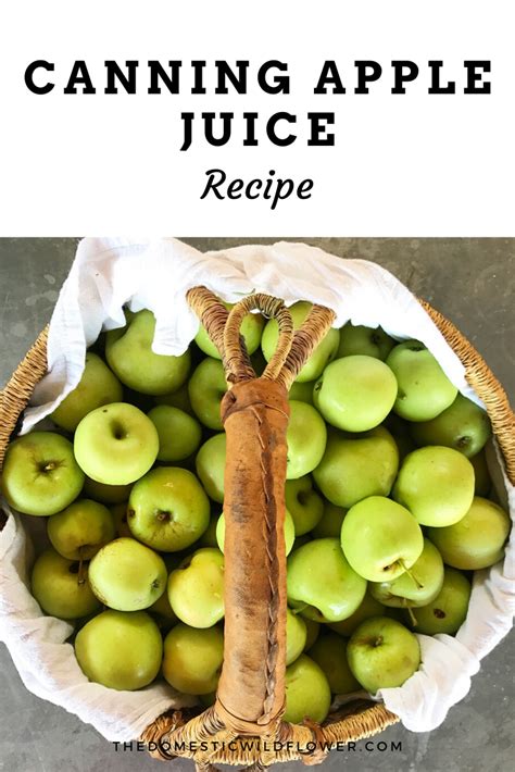 Canning Apple Juice Recipe | Easy jam recipe, Canning recipes easy, Jam recipes