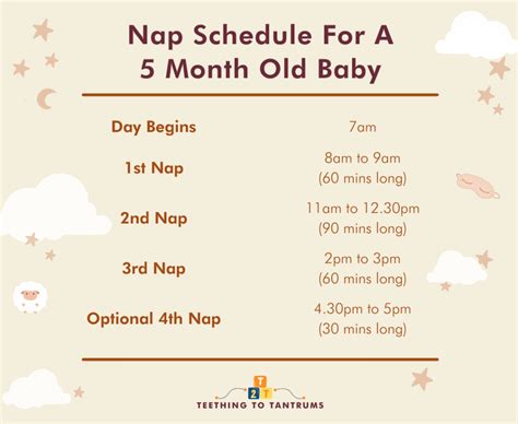 5 Month Old Sleep Schedule: The Secret To Peaceful Nights