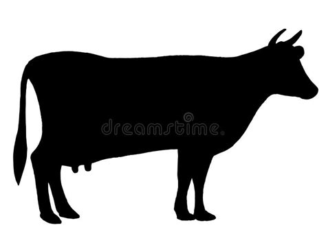 Silhouette of a Cow. Cattle. Circuit. Farm. Bull. Black and White ...