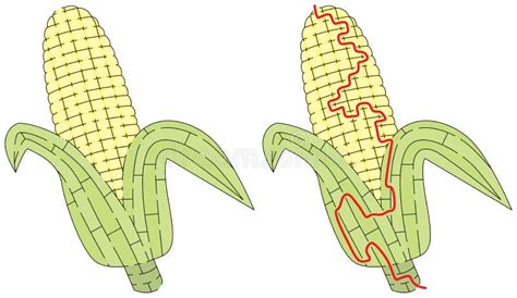 Corn Maze Stock Illustrations – 534 Corn Maze Stock Illustrations, Vectors & Clipart - Dreamstime