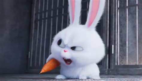 Meet Snowball in Second 'The Secret Life of Pets' Trailer. | AFA: Animation For Adults ...