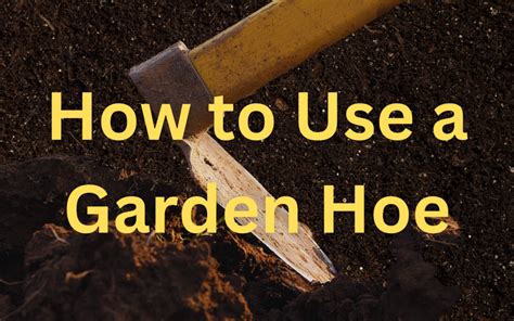 How to Use a Garden Hoe - Urban Homsteading PDX