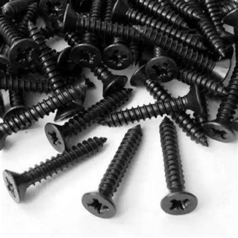 Buy Steel Screw 1 inch (Black Gypsum) Online at Low Price in India