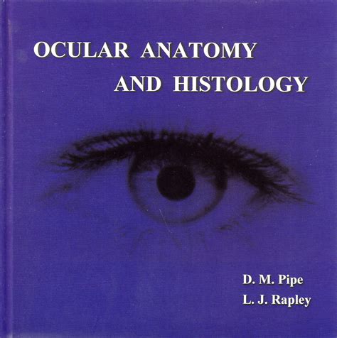 Ocular Anatomy & Histology – ABDO College