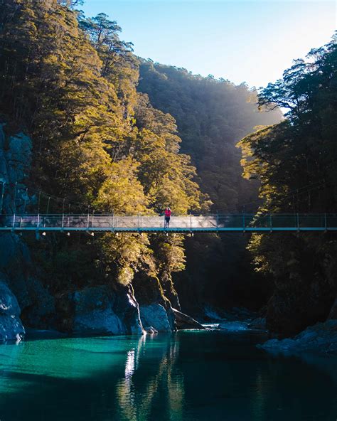 Why Spring is the Best Time to Visit New Zealand | The Adventures Atlas