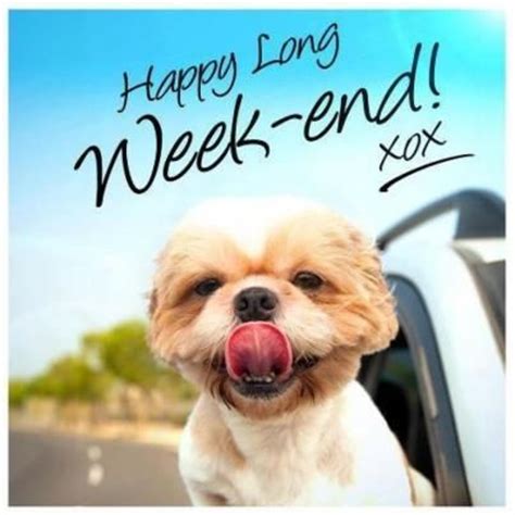 Happy Long Weekend Quotes. QuotesGram