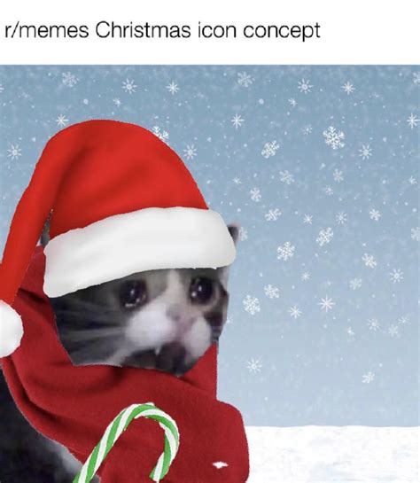 Christmas Cat : r/memes