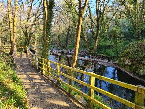 The Dingle Nature Reserve - Visit Anglesey