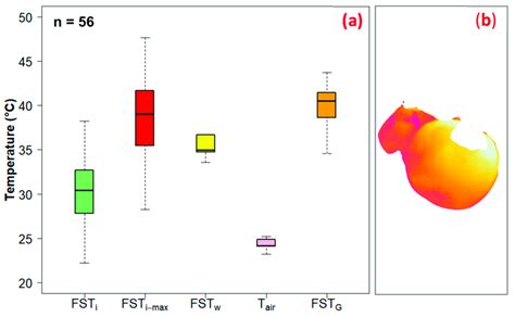 Thermal-RGB imaging sensor calibration equation for temperature data ...