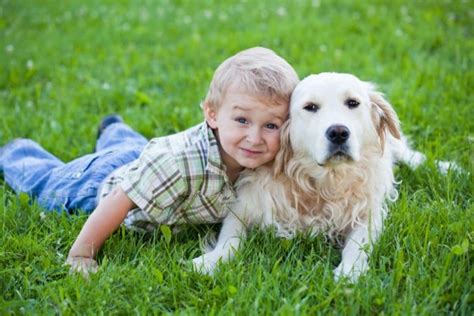 12 Razones por las que los niños deben crecer con un perro