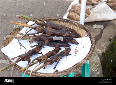 rats cooked at market in Tomohon, Indonesia Stock Photo - Alamy