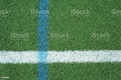 Green Artificial Turf On Football Field With Blue White Stripes Stock Photo - Download Image Now ...