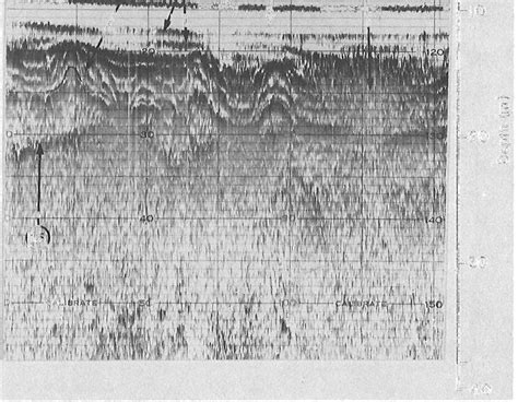 10. Part of a profile from Calabogie Lake showing tight | Download ...