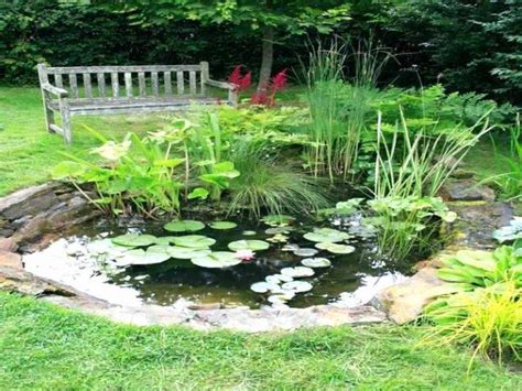 The basic principles of landscape design landscape ideas | The Truth About Landscaping