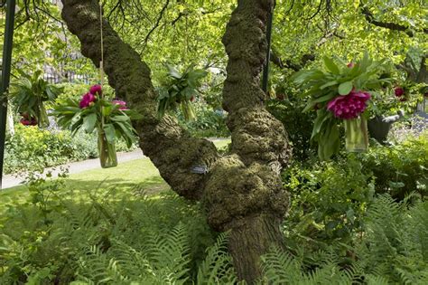 Inner Temple Garden | Morus Londinium