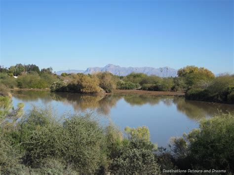 Gilbert Riparian Preserve | Destinations Detours and Dreams