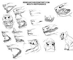 110 Art Reference - Animal Anatomy ideas | art reference, animal drawings, drawings