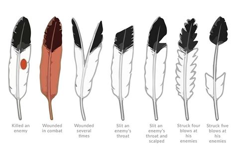 Native American war bonnets and feathers meaning | Native american eagle, Native american ...