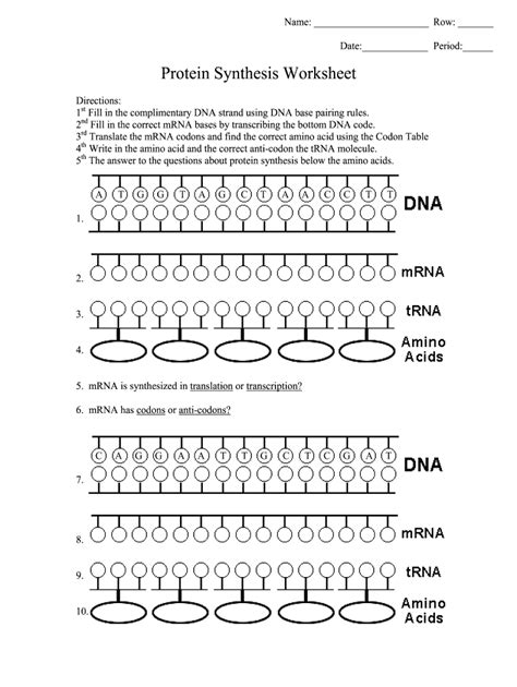 Protein Synthesis Worksheet Answer Key – Pro Worksheet