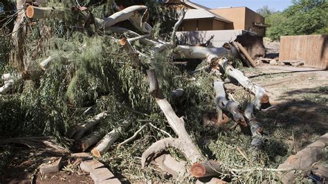 Phoenix Zoo reopens after storm, but 2 attractions still closed