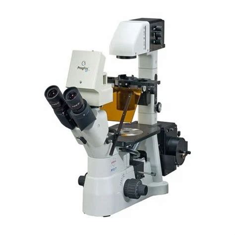 Labomed Inverted Fluorescence Microscope, Resolution: 2MP at Rs 740000 in Ambala