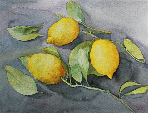 amalfi lemons Painting by Catherine Basos | Saatchi Art