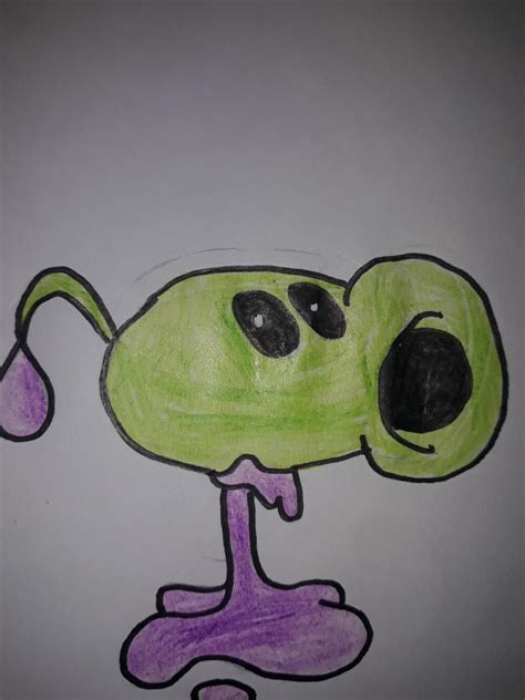 Peashooter Drawing ! by AminecraftgodYt on DeviantArt