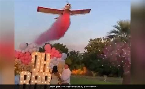 Video: Gender Reveal Party Turns Deadly As Plane Crashes In Front Of ...