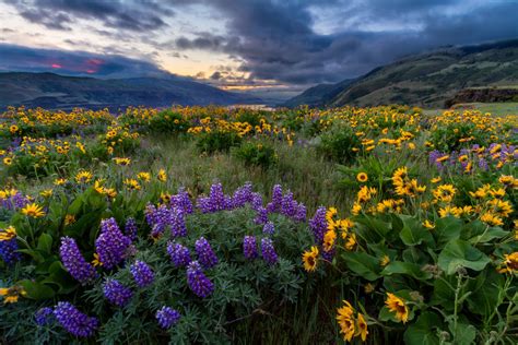 Rowena Spring Sunrise – Oregon Landscape Photography