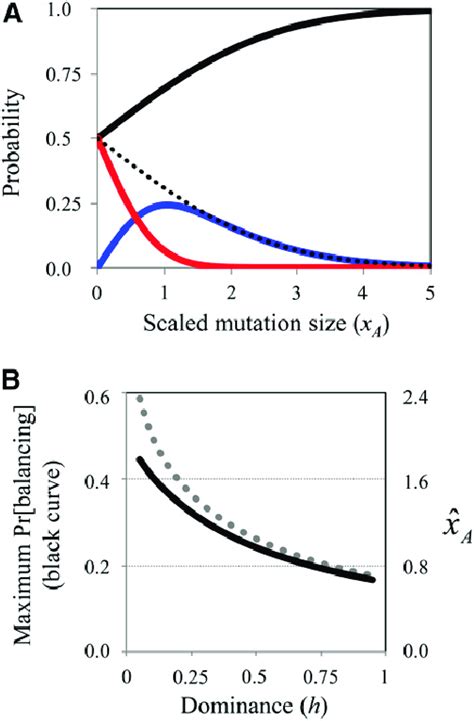 Balancing selection in Fisher's geometric model. (A) Probabilities of... | Download Scientific ...