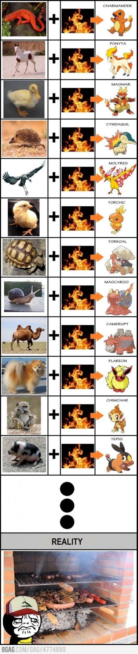 Fire Pokemon | Fire pokemon, Real pokemon, Pokemon funny