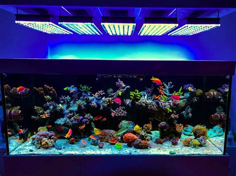 Aquarium LED Lighting • Orphek Reef Aquarium LED Lighting