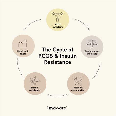 The Link Between PCOS & Insulin Resistance | imaware™