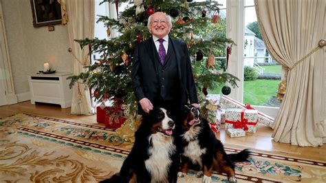 President Michael D Higgins' dog Síoda dies